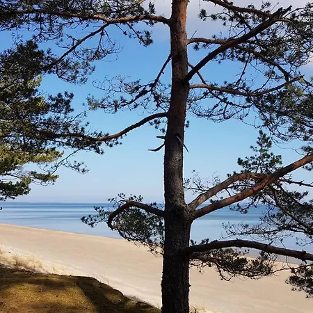 Brivdienu Melnsila Lägenhet